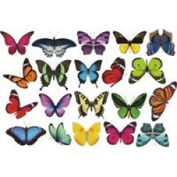 Meister Anti-collision Window Decals - Butterfly Decals Set B - Sticks With Static