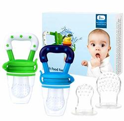 Baby Fruit Feeder Pacifier 2 Pack Bestwin Infant Teething Toy