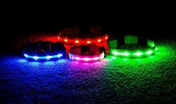 WAGZ4LIFE - Safety LED Dog Collar - Rechargeable - Water Resistant - Light Up Or Flashing - Highest Quality - High Visibility - Looks
