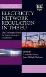 Electricity Network Regulation In The Eu - The Challenges Ahead For Transmission And Distribution Hardcover