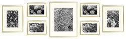 Golden State Art Metal Wall Photo Frame Collection Set Of 7 Aluminum Gold Photo Frame With Ivory Color Mat & Real Glass