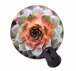 Cactus Fruit Round Mouse Pad Custom Design Gaming Mouse Pad
