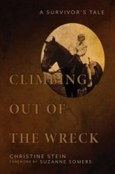 Climbing Out Of The Wreck - Christine Stein Hardcover