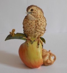 Songthrush On Apple With Mouse - Fledgelings By Country Artists
