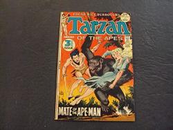 Tarzan Of The Apes 209 Jun 1972 Bronze Age Dc Comics Uncirculated