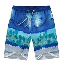 Alibersoul Men's Summer Beach Shorts Gradient Color Boardshorts Us Xl Blue