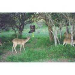 Moultrie 6.5-gallon Easy Demand Deer Feeder